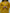 Mustard Farshi Kurta Set