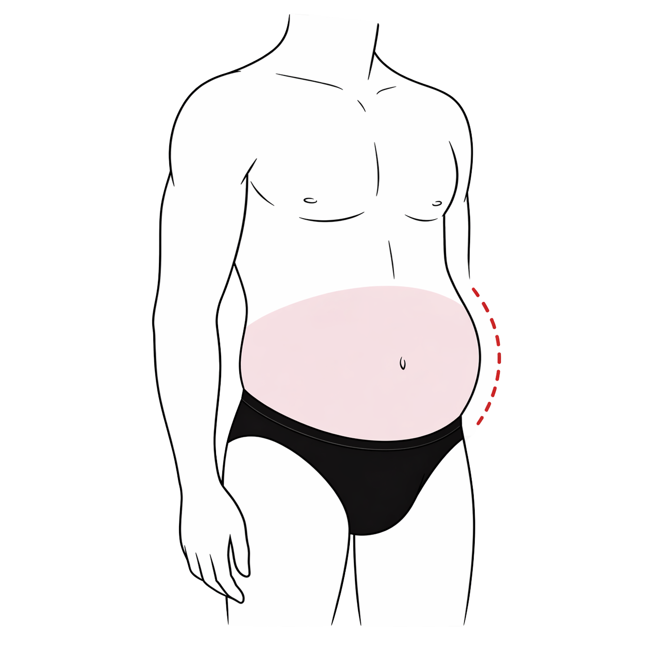 Curvier